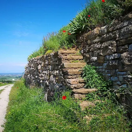 Casa Luna * Доттинген